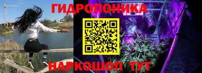 дмт Можайск