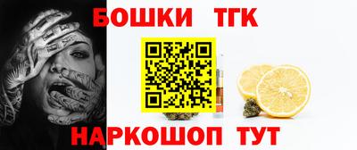 дмт Можайск