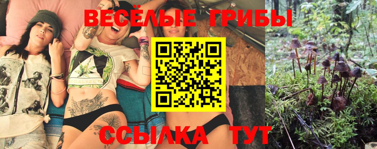 Псилоцибиновые грибы Cubensis  Псилоцибиновые грибы Cubensis  Шадринск  Вход с VPN 