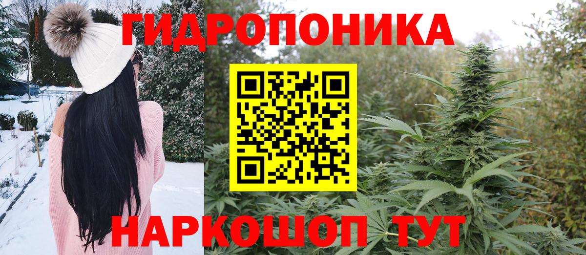 Шишки марихуана конопля Шадринск